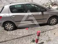 2004 Peugeot 307
