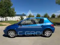 2004 Peugeot 307