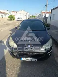 2004 Peugeot 407