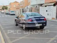 2004 Peugeot 407