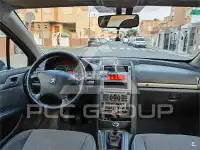 2004 Peugeot 407