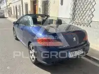 2005 Peugeot 307
