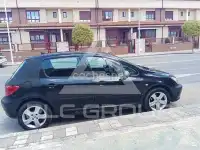 2005 Peugeot 307