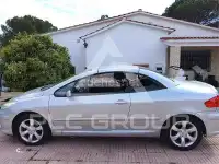 2005 Peugeot 307