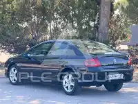 2005 Peugeot 407
