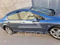 2005 Peugeot 407