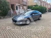 2005 Peugeot 407