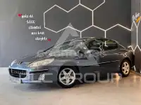 2005 Peugeot 407