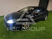 2005 Peugeot 407