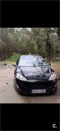 2005 Peugeot 407