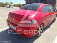 2006 Peugeot 307