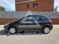 2006 Peugeot 307
