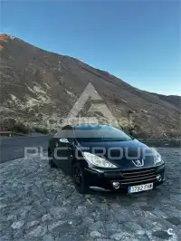 2006 Peugeot 307