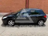 2006 Peugeot 307