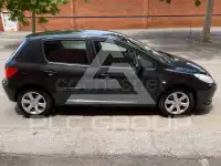 2006 Peugeot 307