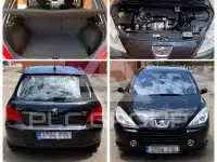 2006 Peugeot 307