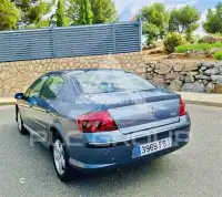 2006 Peugeot 407