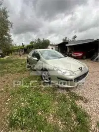 2006 Peugeot 407