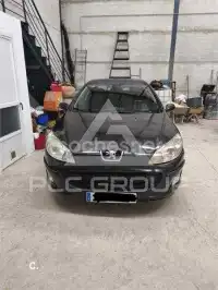 2006 Peugeot 407