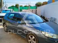2007 Peugeot 407