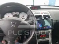 2007 Peugeot 307