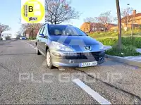 2007 Peugeot 307
