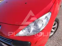 2007 Peugeot 307
