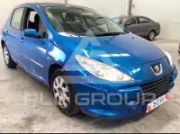 2007 Peugeot 307