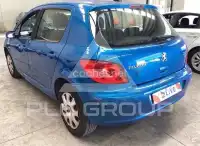 2007 Peugeot 307
