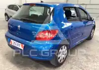 2007 Peugeot 307