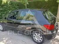 2007 Peugeot 307