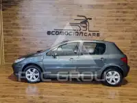 2007 Peugeot 307