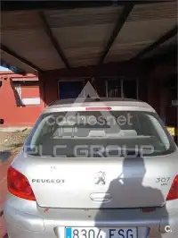 2007 Peugeot 307