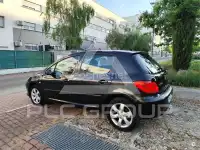 2007 Peugeot 307