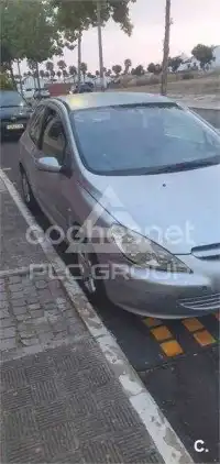 2007 Peugeot 307