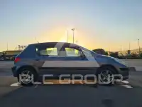 2007 Peugeot 307