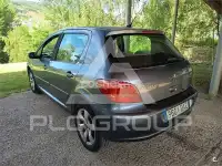 2007 Peugeot 307