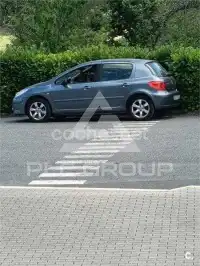 2007 Peugeot 307