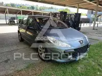 2007 Peugeot 307