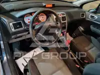 2007 Peugeot 307