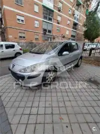 2007 Peugeot 307
