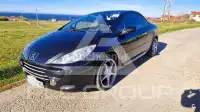 2007 Peugeot 307