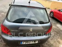 2007 Peugeot 307
