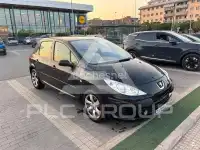 2007 Peugeot 307
