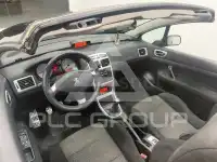 2007 Peugeot 307