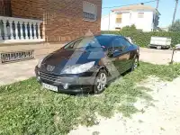 2007 Peugeot 307