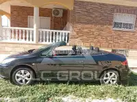 2007 Peugeot 307