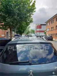2007 Peugeot 407