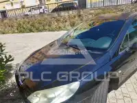 2007 Peugeot 407
