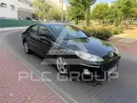 2007 Peugeot 407